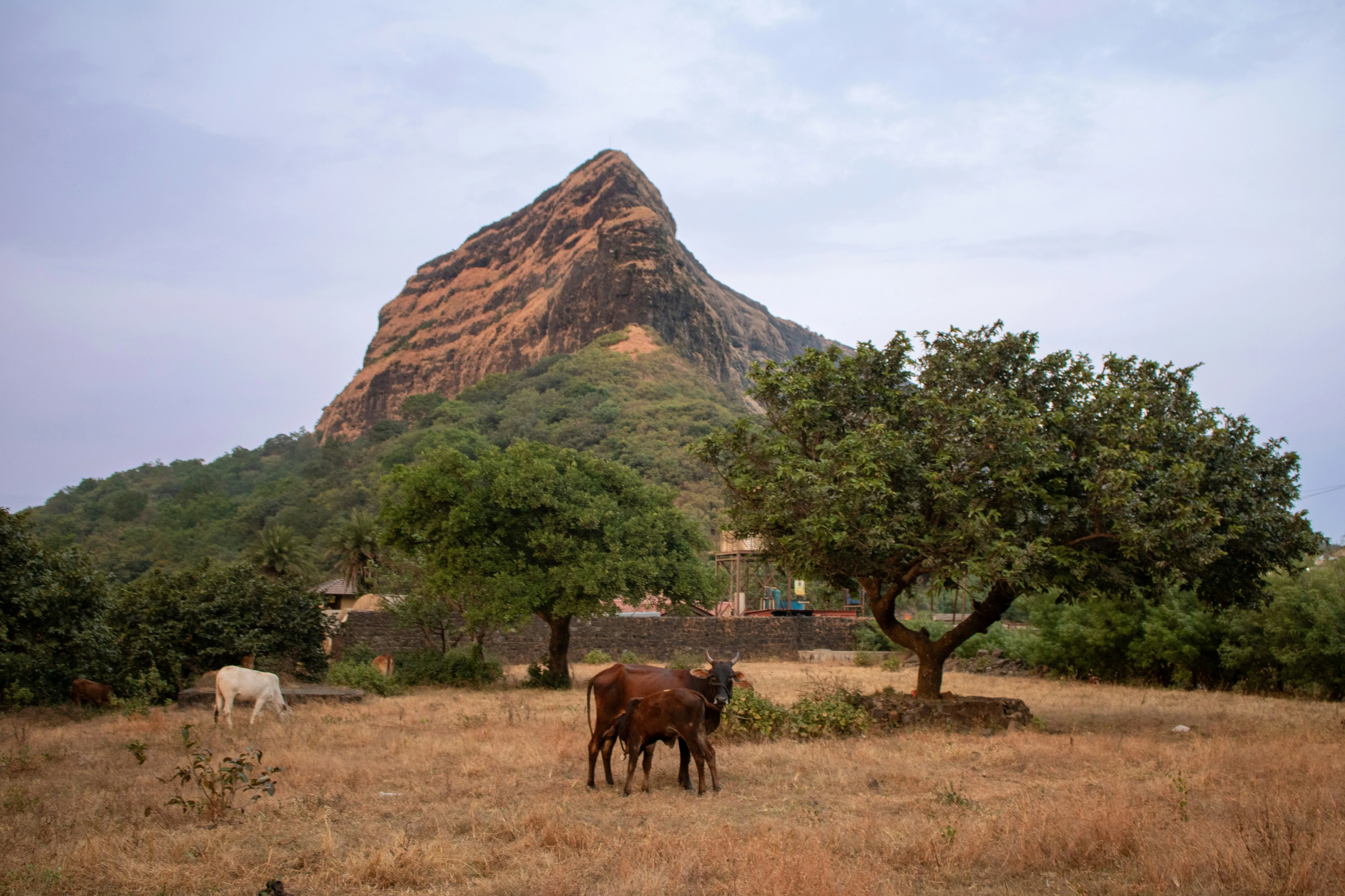 burkina-faso