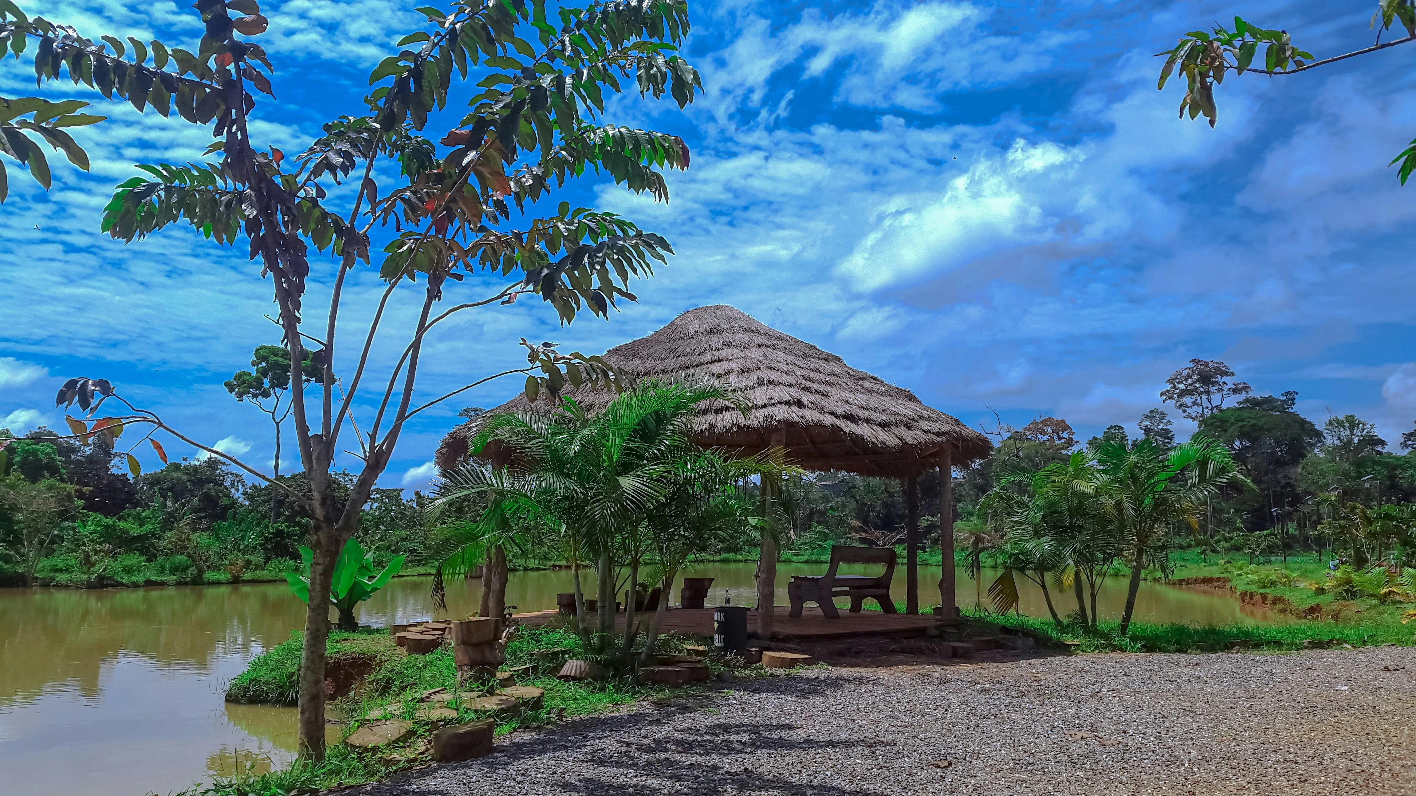 cameroon