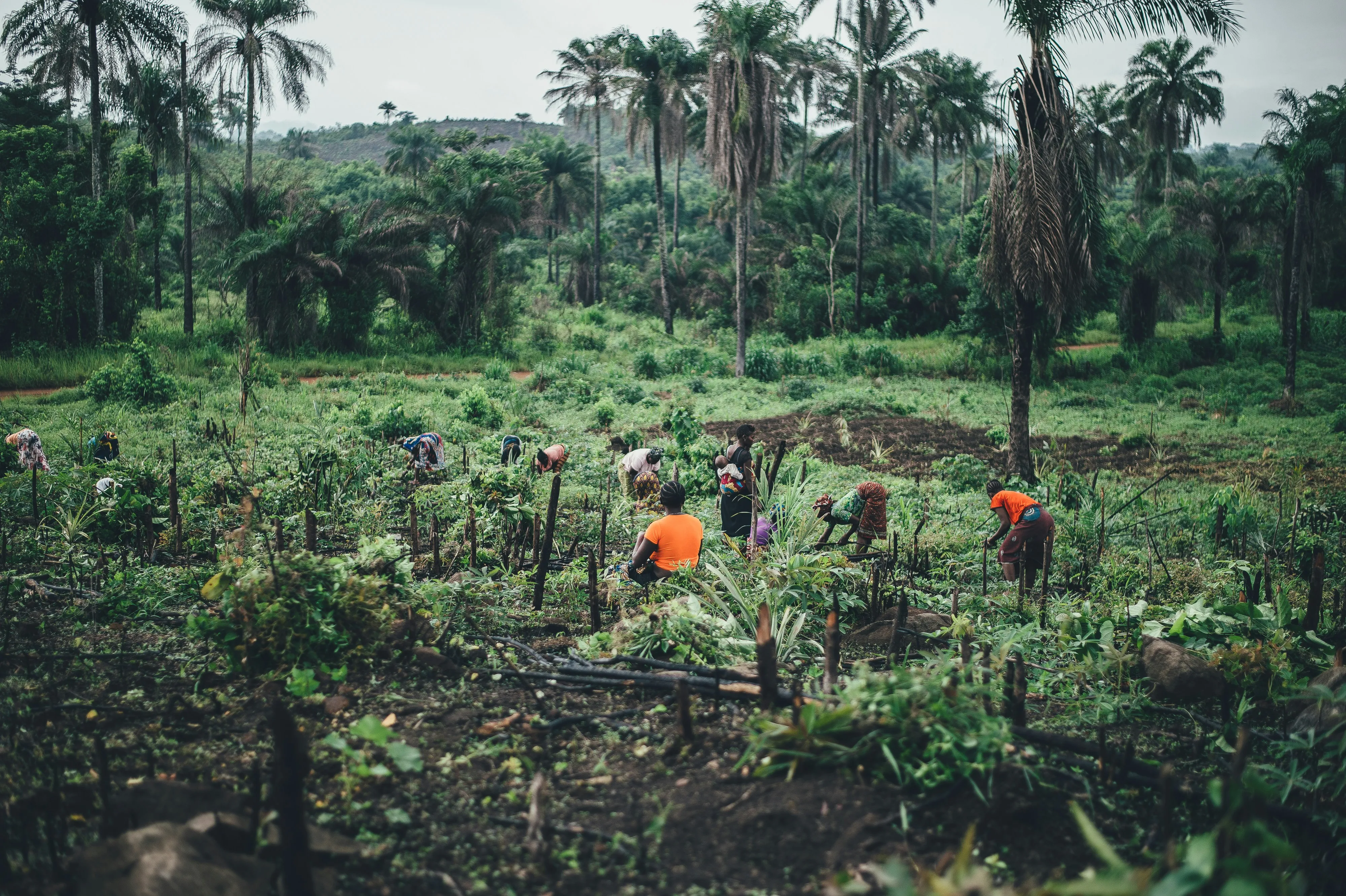 sierra-leone