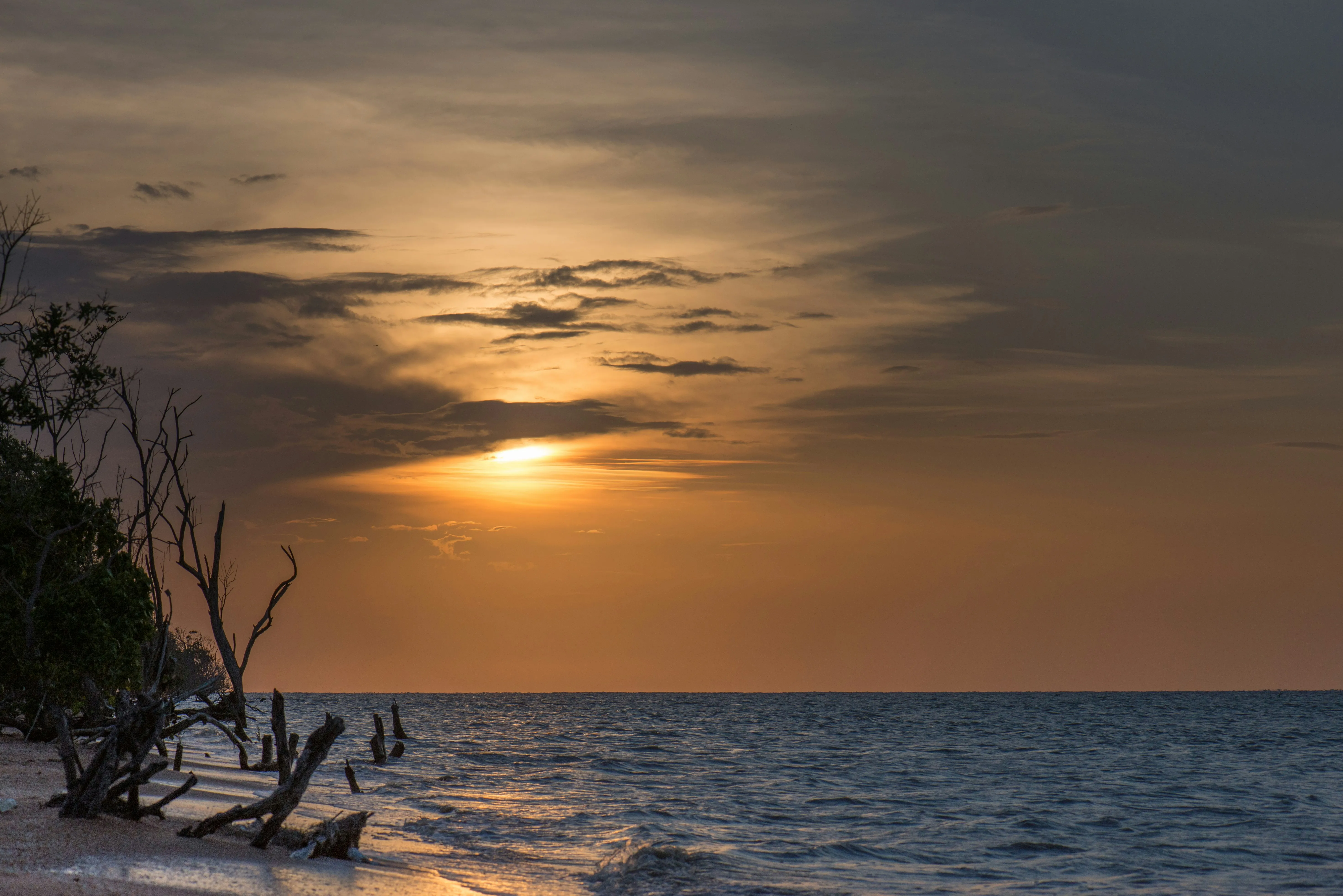suriname