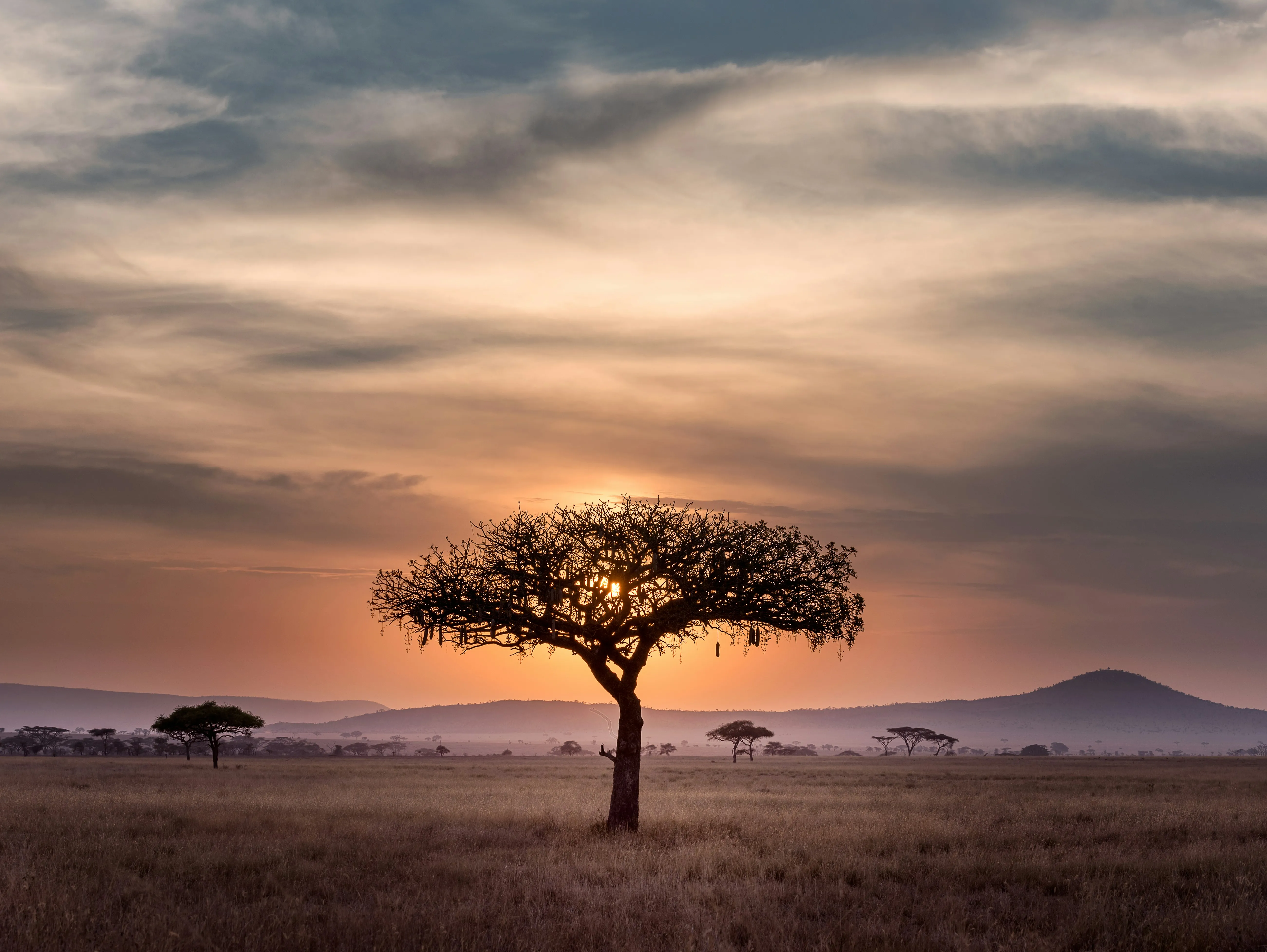 tanzania