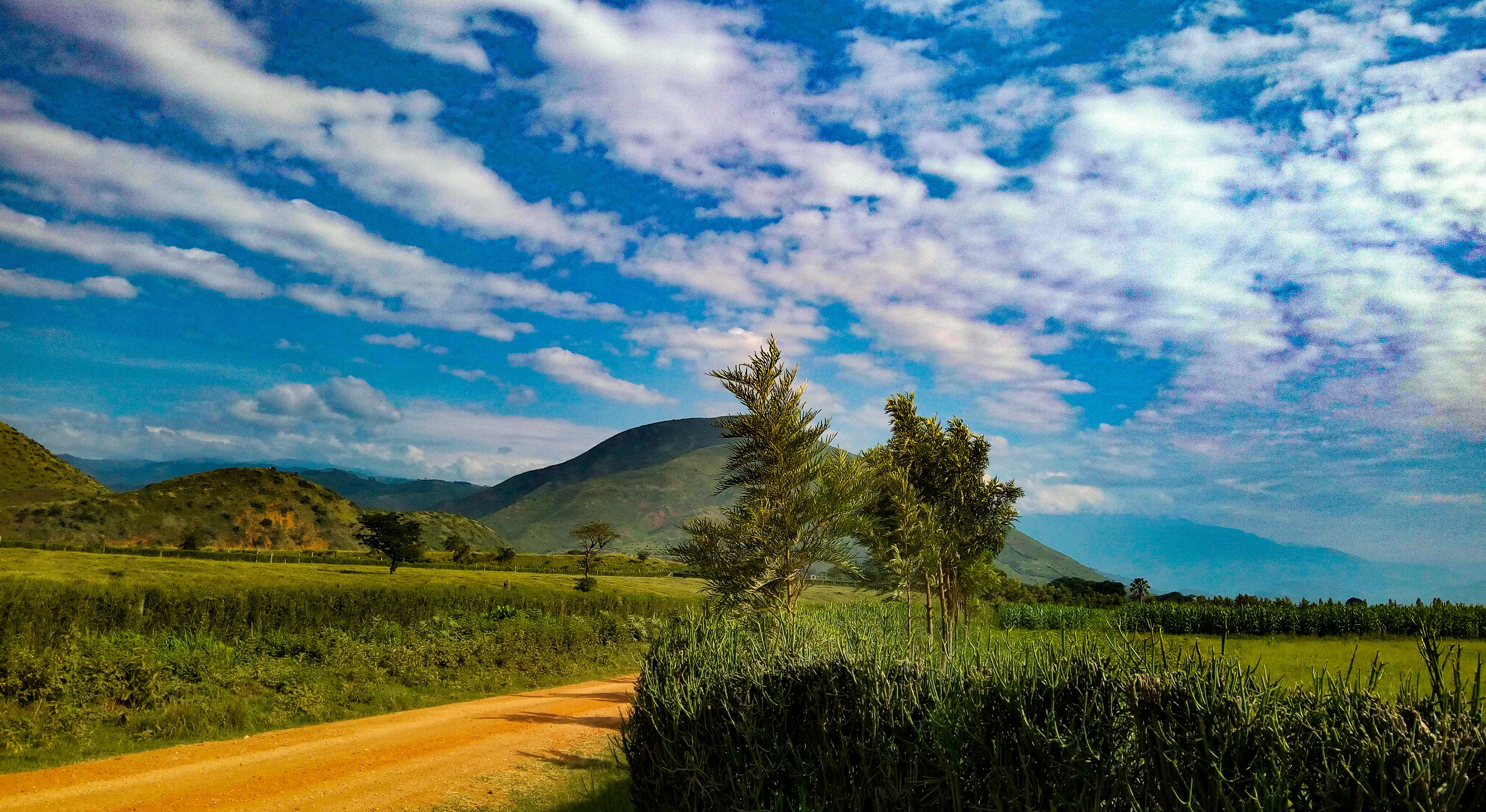 uganda